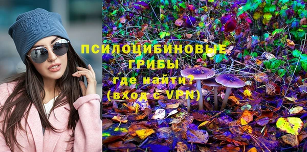 бутират Алексин