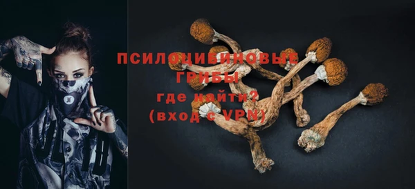 шишки Алзамай