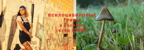 каннабис Абаза