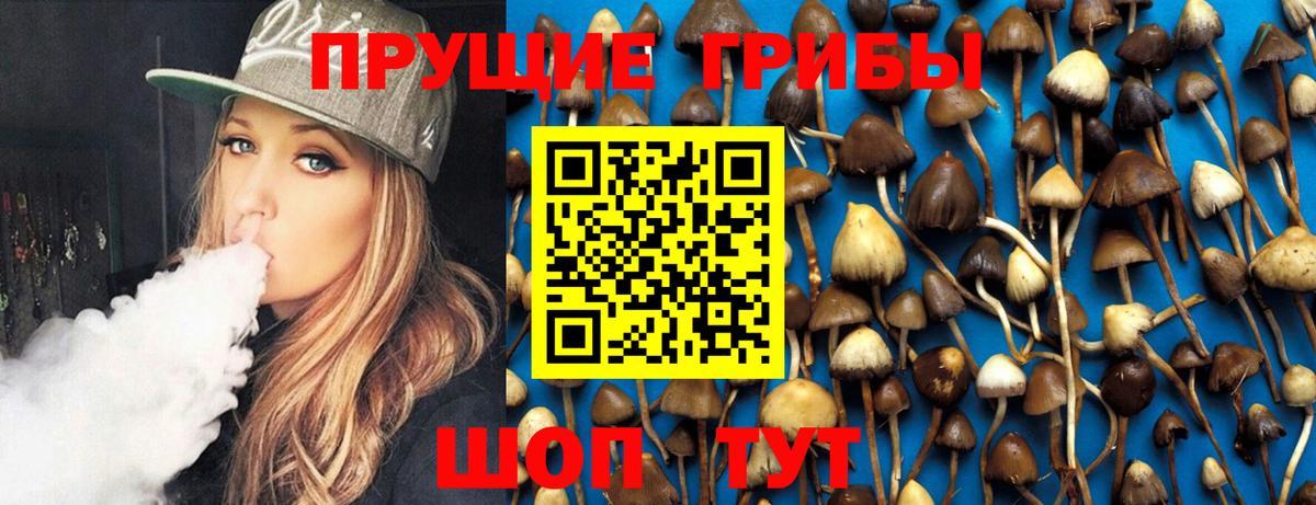 Псилоцибиновые грибы мухоморы  закладка  Псилоцибиновые грибы Psilocybine cubensis  Каменск-Уральский  Вход с VPN 